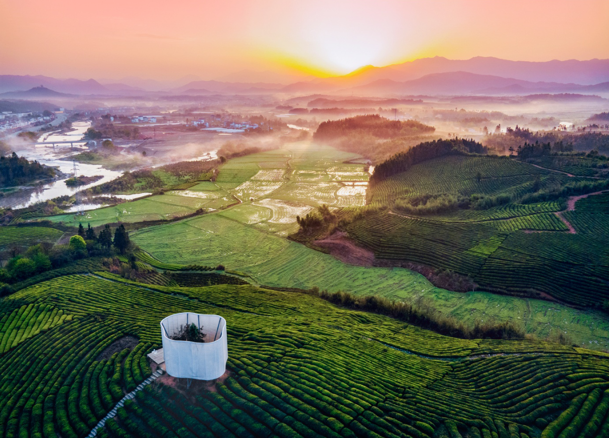 全国“绿茶重点产区”！浮梁，再获殊荣！(图2)